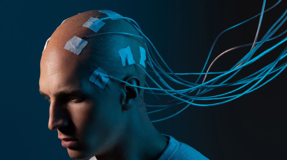    Грибы-мозги принимают решения без единого нейрона и вот почему это меняет всё