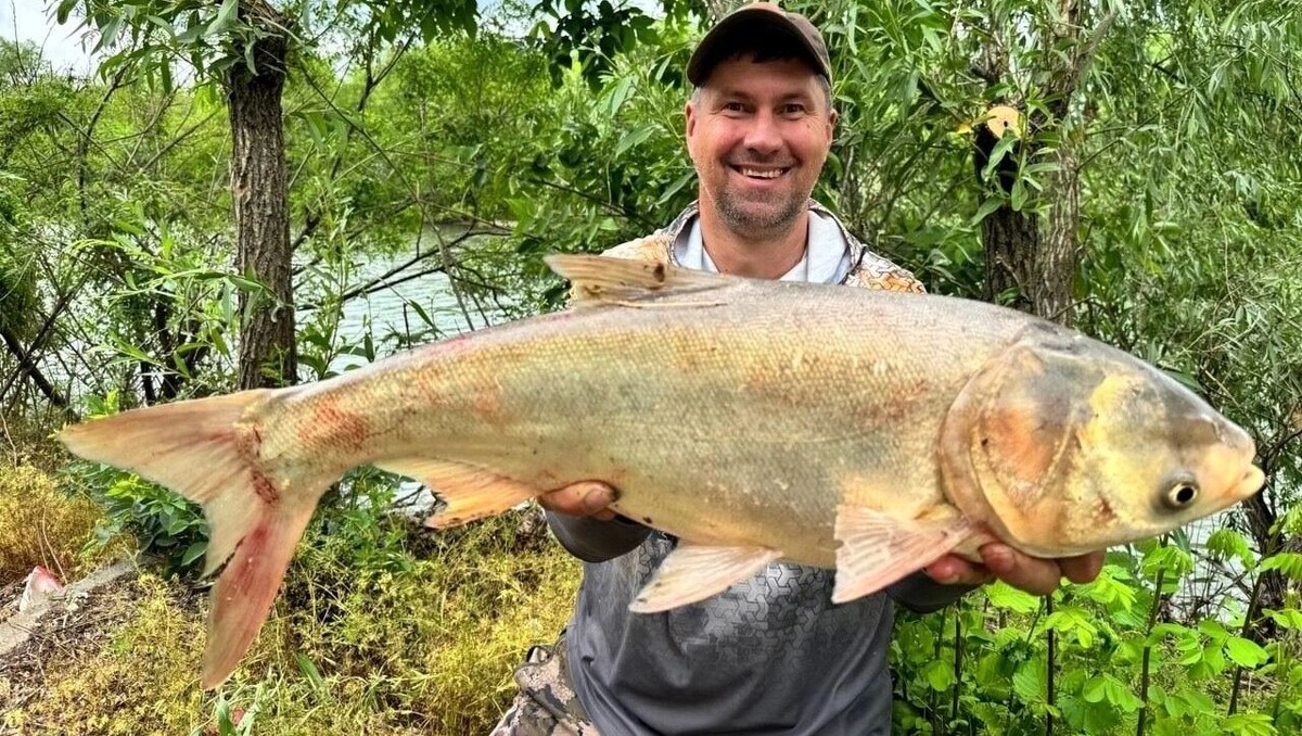     Источник: Страница в ВКонтакте Виталий Шульга
