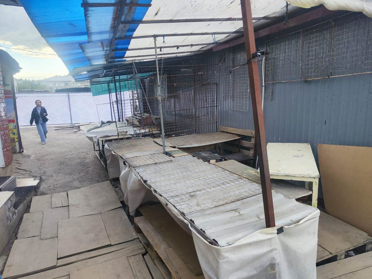 Пока в Казани не все готово к новому формату. Ну что-то должно же напоминать настоящий рынок!