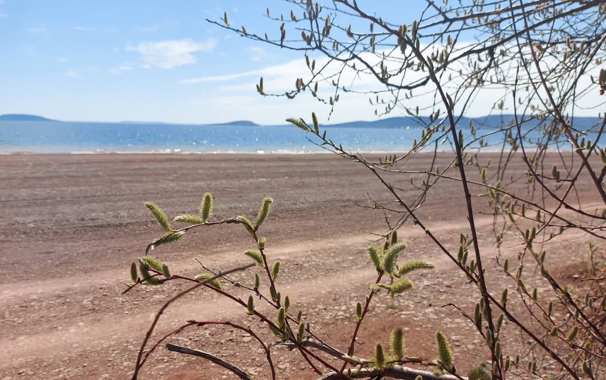 Лёд растаял