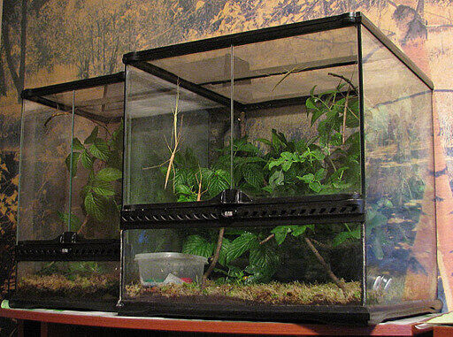 Пример террариума