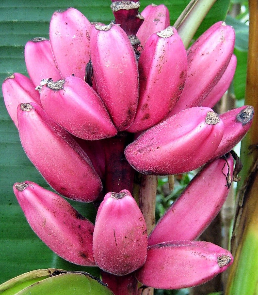 Хоть сейчас на показ мод!