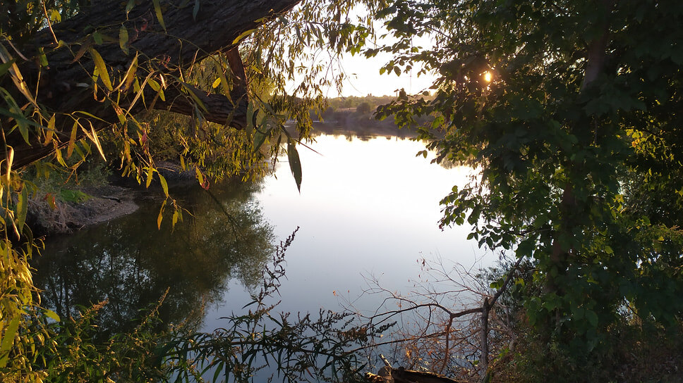 Фото: Дарья Васенина