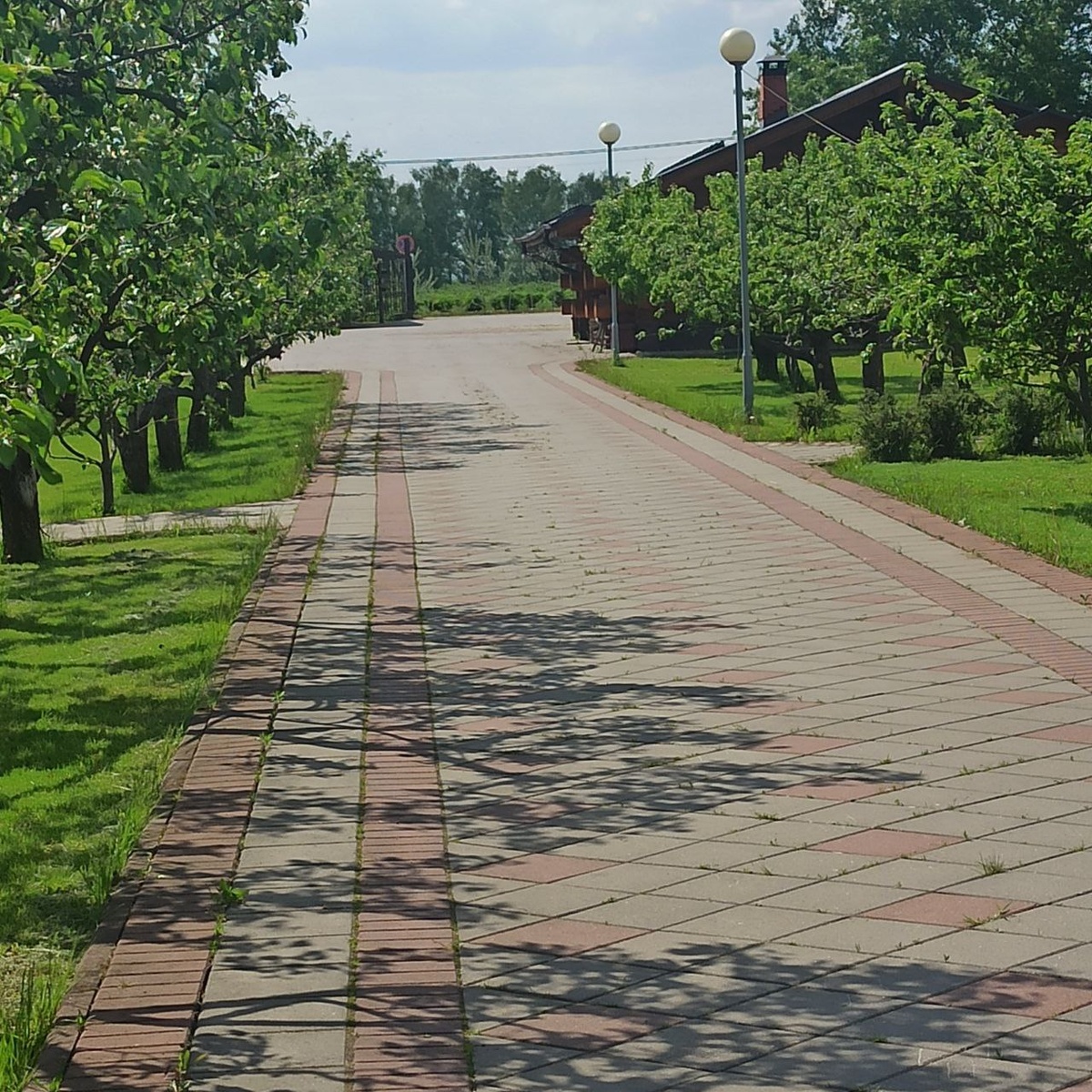 Красивые дорожки из плитки