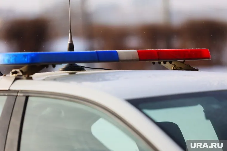 На трассе М12 под Пермью произошло смертельное ДТП (архивное фото)
Фото: Екатерина Сычкова © URA.RU