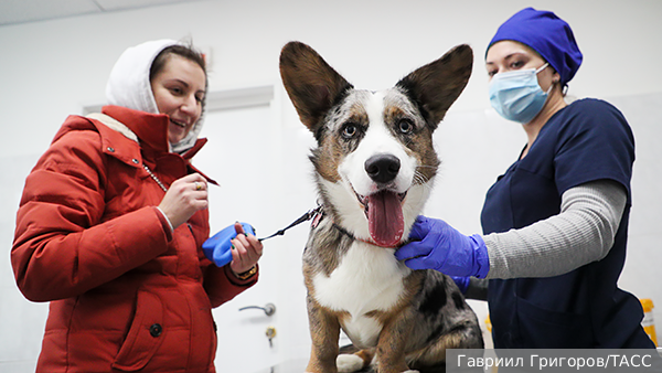     Фото: Гавриил Григоров/ТАСС   
 Текст: Ольга Никитина