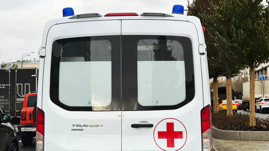    Фото: © РИА Новости/Наталья Селиверстова