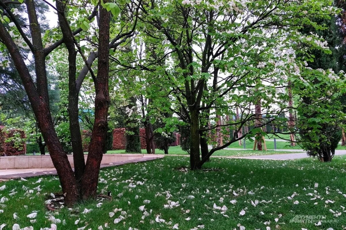    В Краснодарском крае 24 мая воздух прогреется до +29 градусов