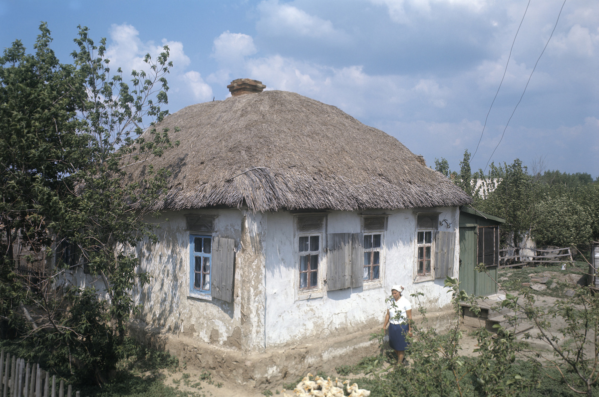    Сначала Михаил учился в мужском приходском училище, потом — в нескольких мужских гимназиях, в том числе в Москве / Дом в хуторе Кружилинский на Верхнем Дону, в котором родился Михаил Шолохов / Иван Денисенко/РИА Новости