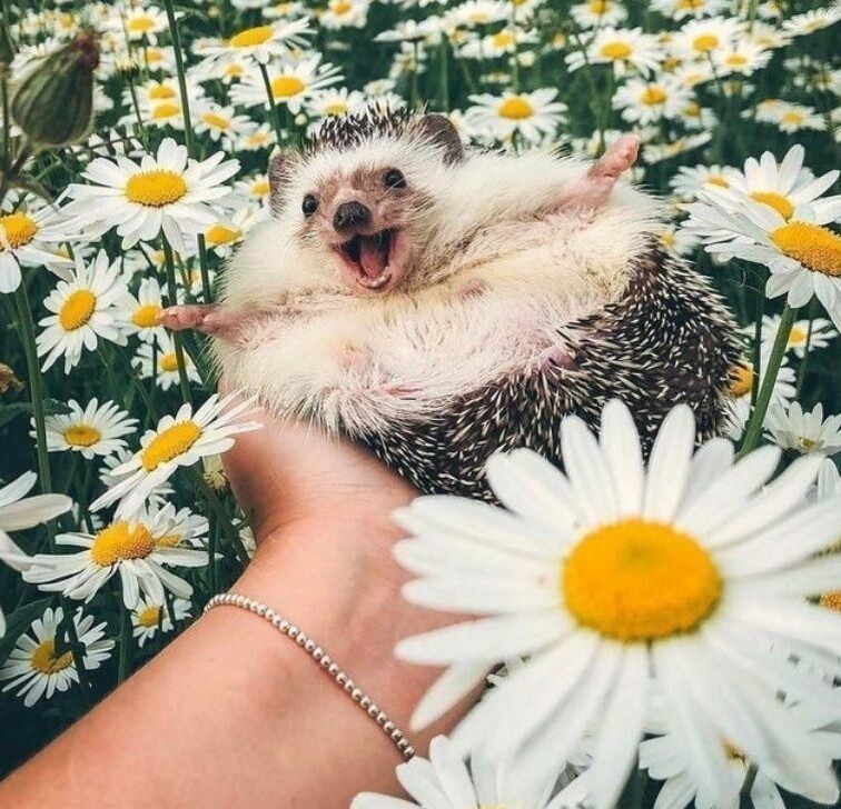 #Астропрогноз на 24 мая 2025. Ключевые аспекты дня