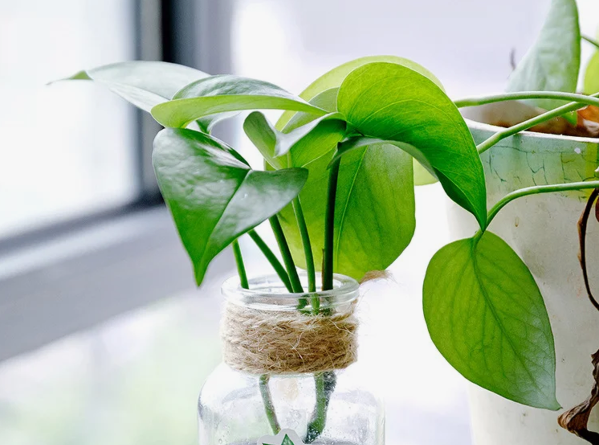 Источник фото: pinterest.com