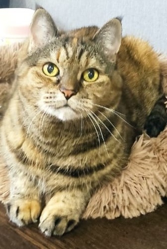  Фото для схемы