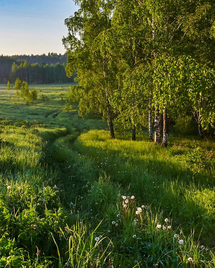 природа родного края