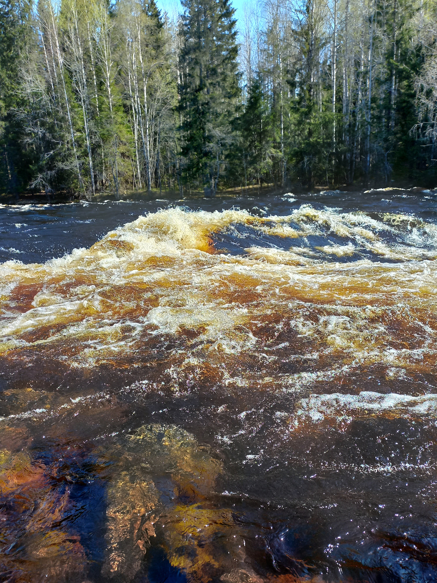 Река Янисйоки в мае.