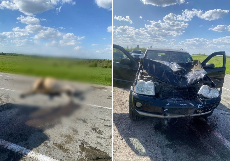   Пресс-служба УМВД России по Томской области