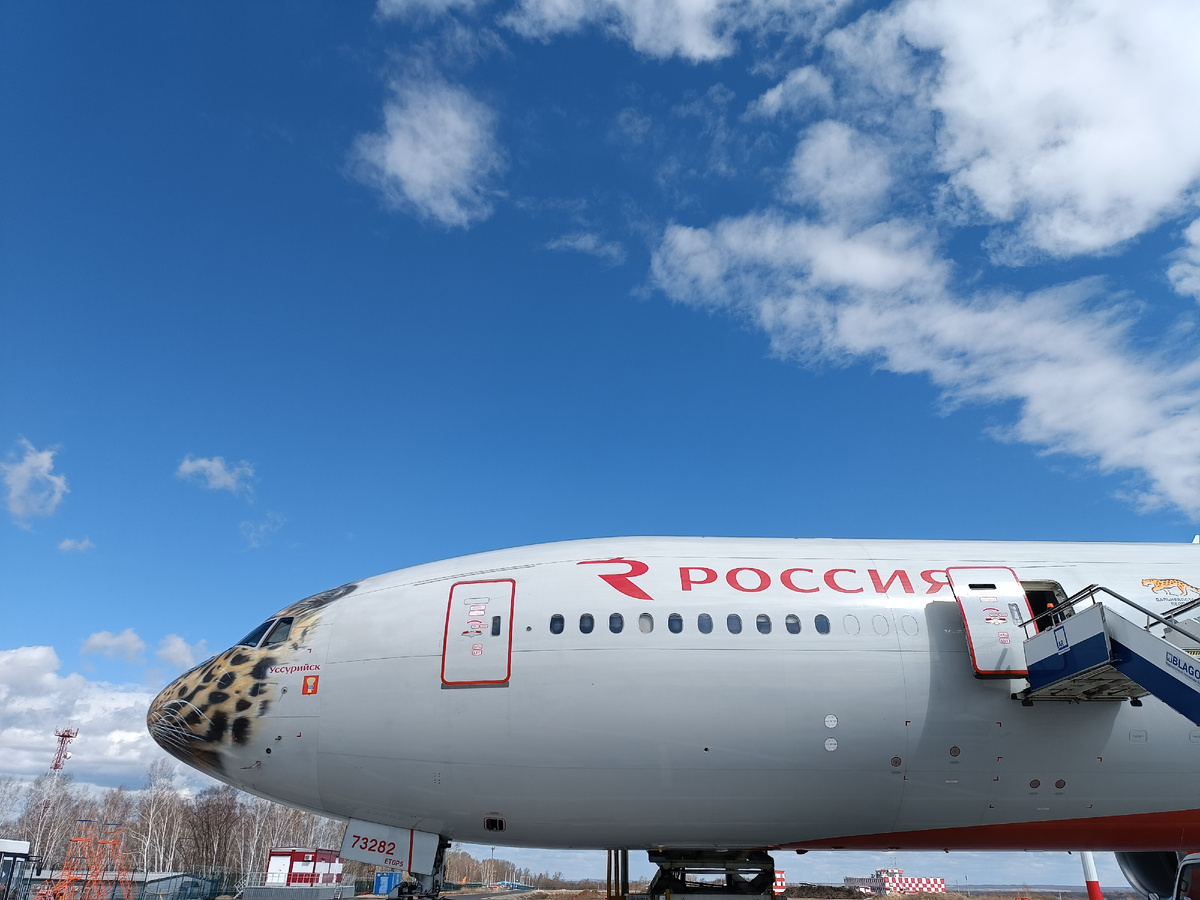 Кстати обратно летела на нем же.