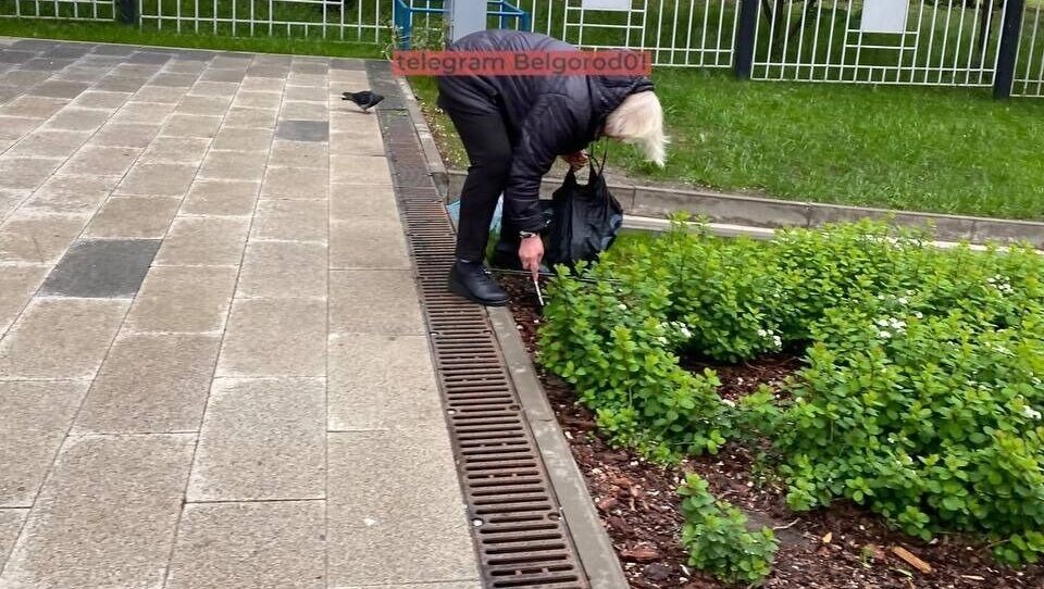     Источник: Telegram-канал «Белгород № 1»