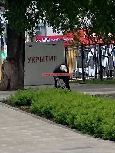     Источник: Telegram-канал «Белгород № 1»