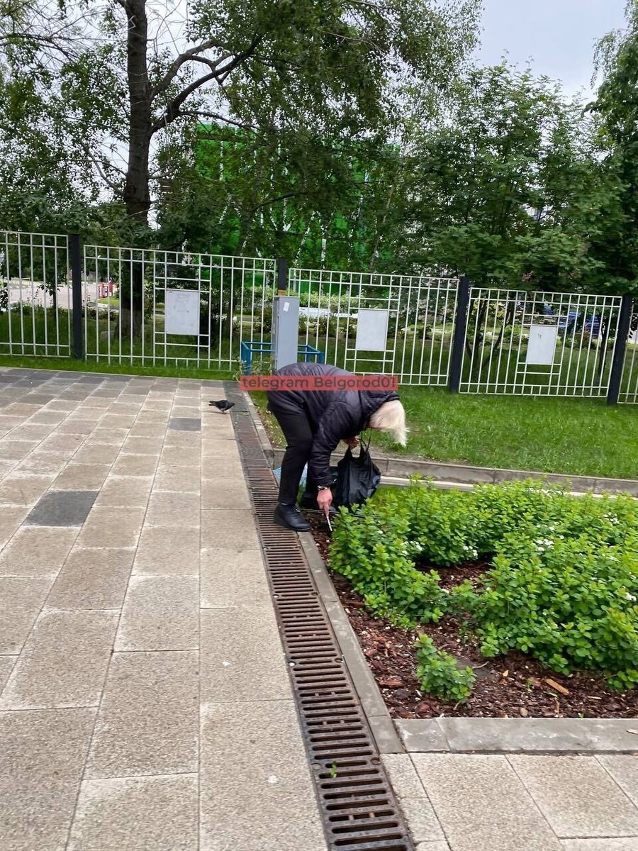     Источник: Telegram-канал «Белгород № 1»