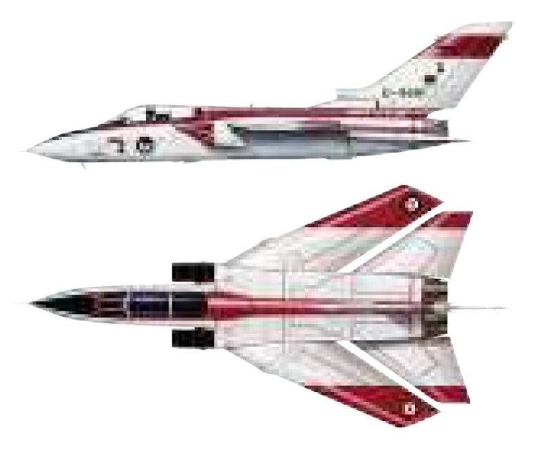 P01, как и некоторые другие прототипы, имел преимущественно белую окраску с красными участками в верхней части фюзеляжа, на законцовках крыла и элеронов, вертикальном оперении и воздухозаборниках. Также для прототипа характерны кокарды в цветах трех стран. Рисунок Airbus Heritag