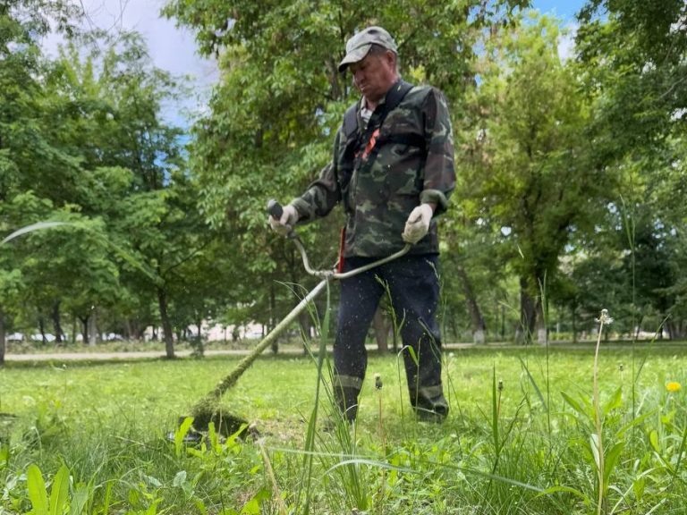    В Оренбурге после критики врио губернатора скосили 42 футбольных поля сорняков Оренбуржье