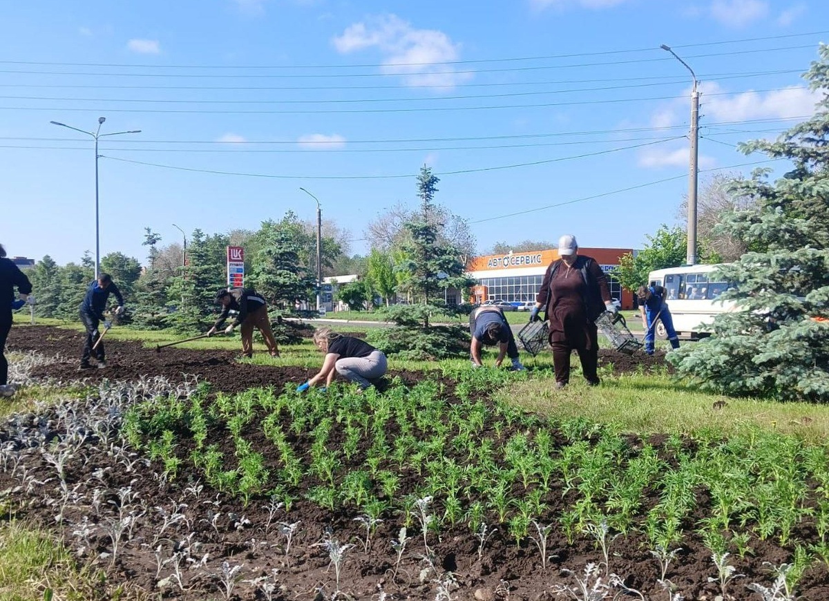     В Оренбурге после критики врио губернатора скосили 42 футбольных поля сорняков Оренбуржье
📷    В Оренбурге после критики врио губернатора скосили 42 футбольных поля сорняков Оренбуржье
