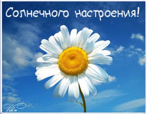 Фото из открытого источника в интернете.