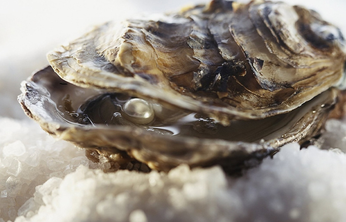 В раковине жемчужницы можно найти жемчуг. / Фото: 9111.ru