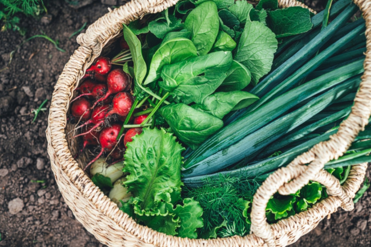 Источник фото: shutterstock.com