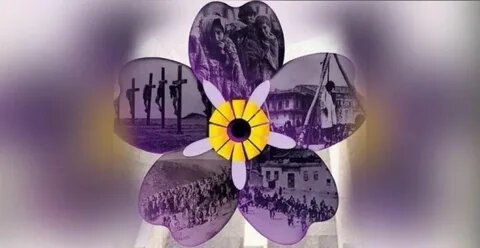 Фото из открытого источника Интернета