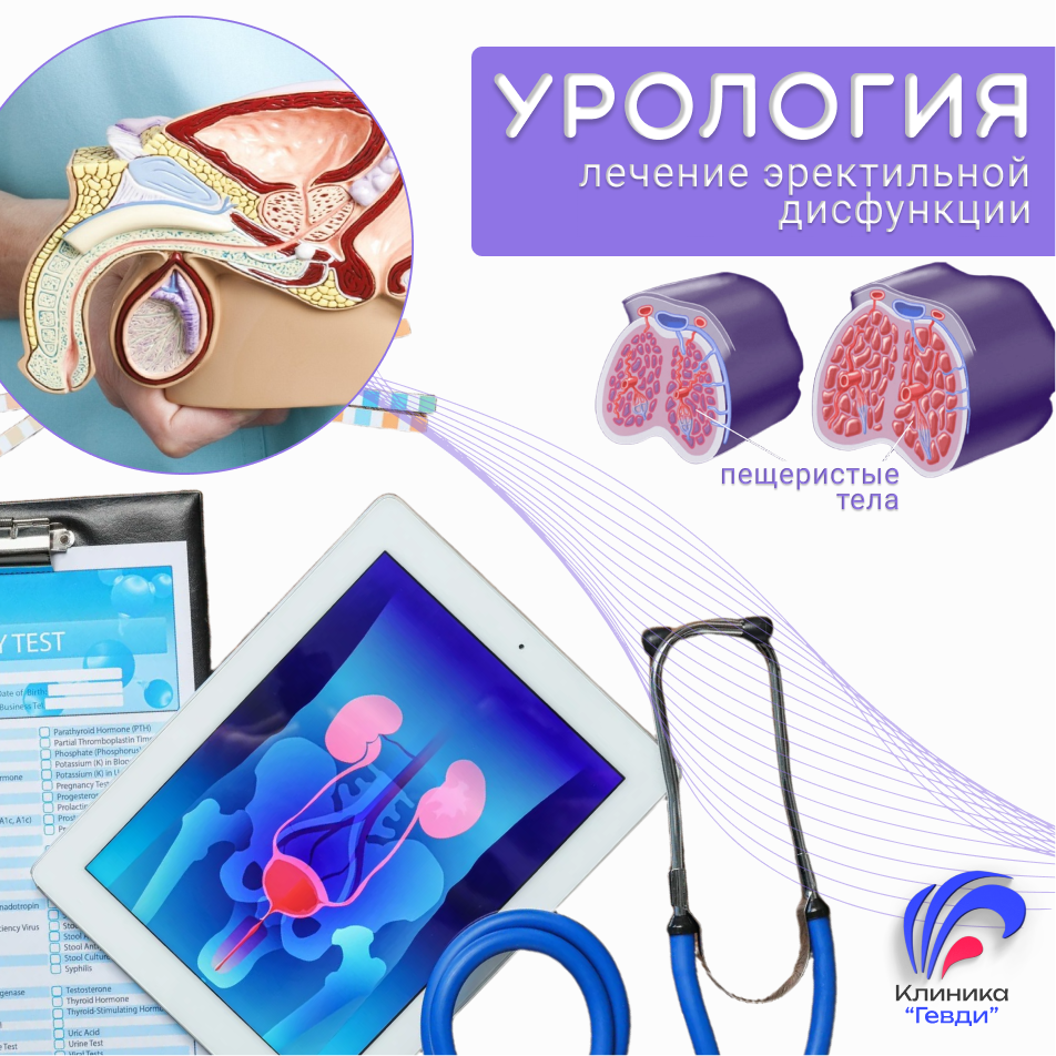 Уролог в Клинике "Гевди"