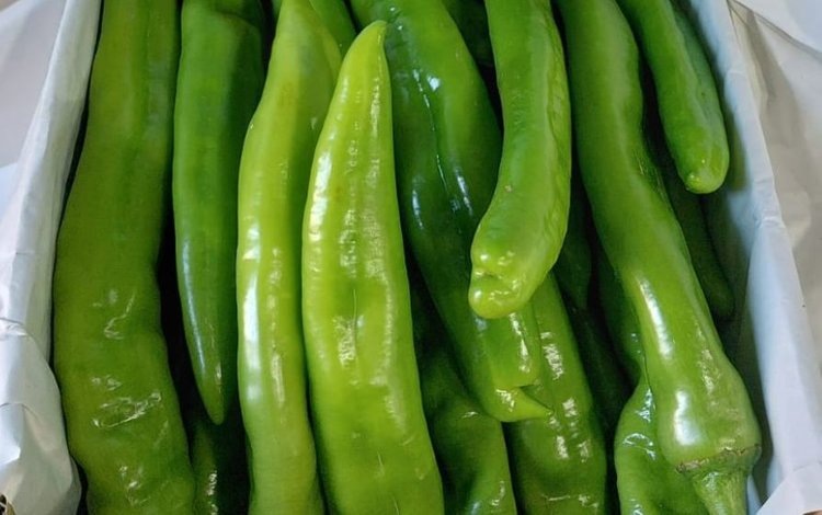    В 10 раз Приморским филиалом ФГБУ «НЦБРСП» обнаружен вирус коричневой морщинистости плодов томата в китайских овощах