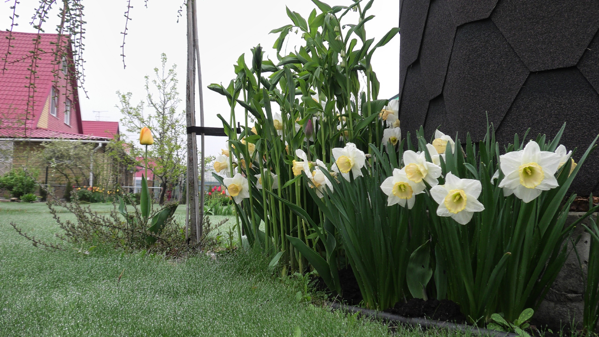 Фото автора канала Дом с кипарисами