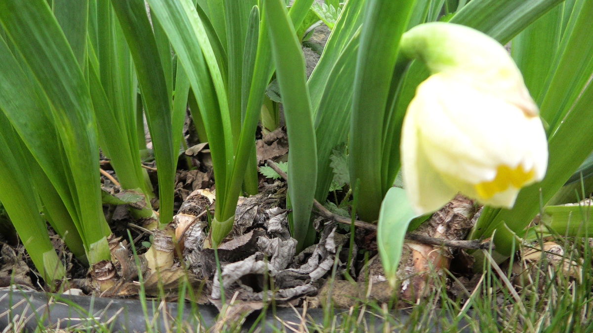 Фото автора канала Дом с кипарисами