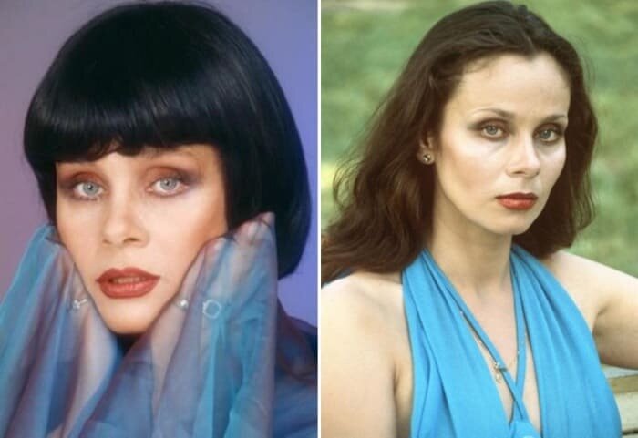 Фото в открытом доступе