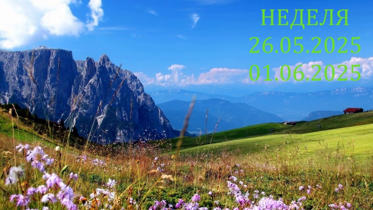 Альпийские Луга. Фото Pinterest