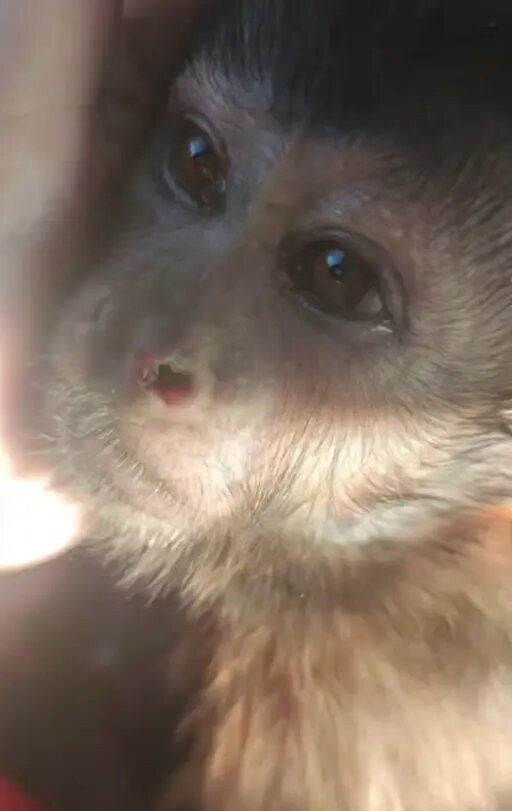    Фото: стоп-кадр видео от пресс-службы ГУ МВД России по Краснодарскому краю