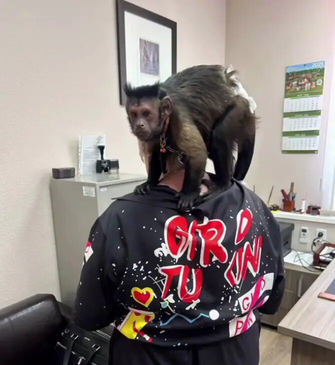    Фото: стоп-кадр видео от пресс-службы ГУ МВД России по Краснодарскому краю