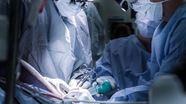    Фото: lego 19861111/Shutterstock/Fotodom