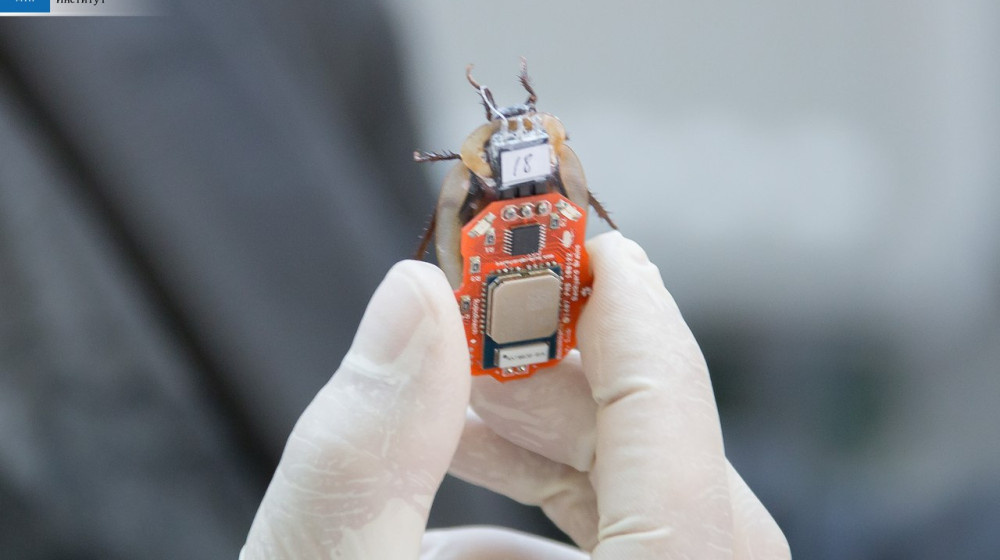    Тараканы-киборги управляют дронами и это не фантастика
