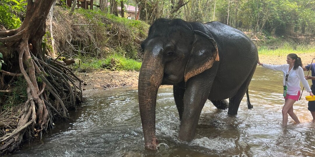 Отзыв о поездке на Пхукет. Правила движения совершенны непонятны. Заблудились в торговом центре