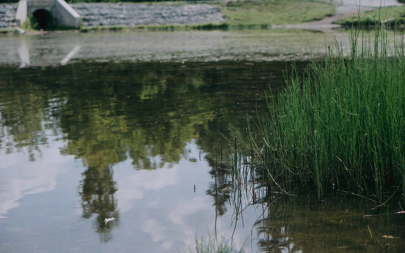    Тело 54-летнего местного жителя извлекли из пруда неподалеку от села Можга