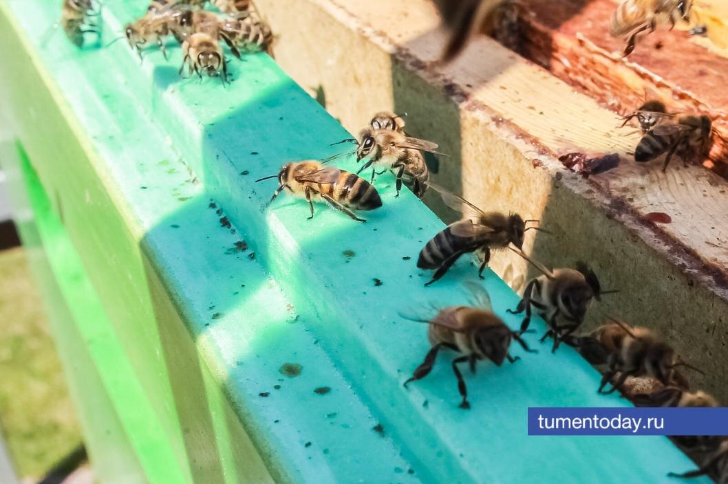  Фото Михаила Калянова