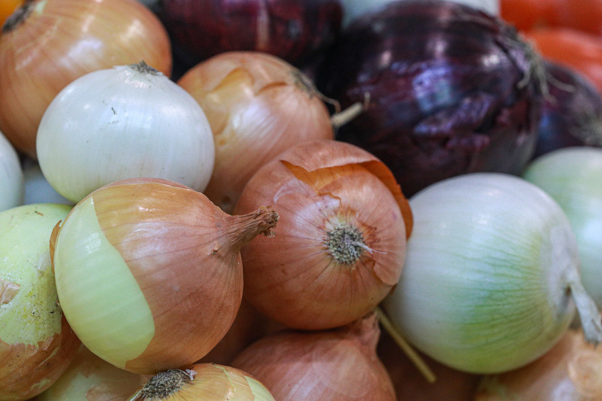 Фото: © Bulkin Sergey/ news.ru/ Global Look Press