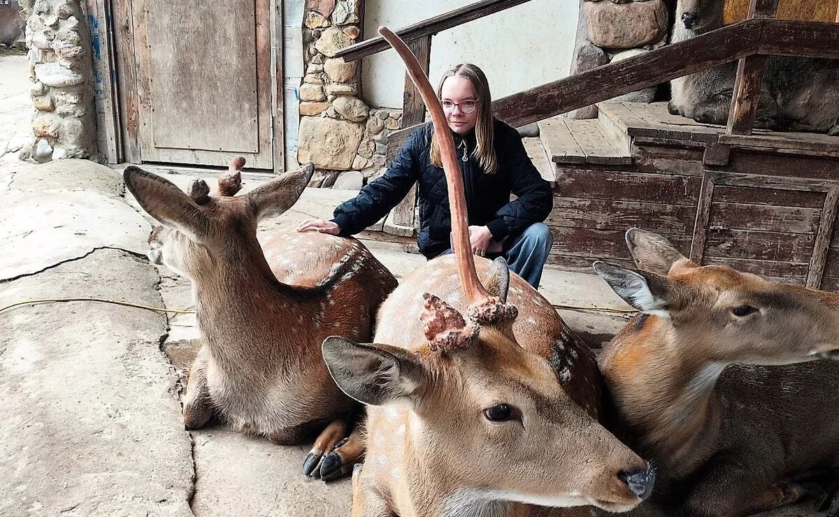    11 ферм с необычными животными недалеко от Москвы