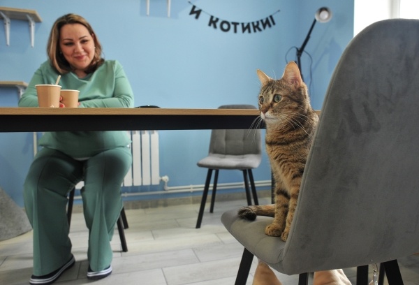 Фото: РИА Новости/Алексей Сухоруков