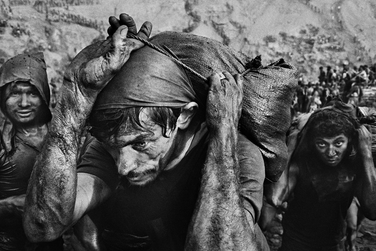      «Соль земли», 2014 «Соль земли», 2014