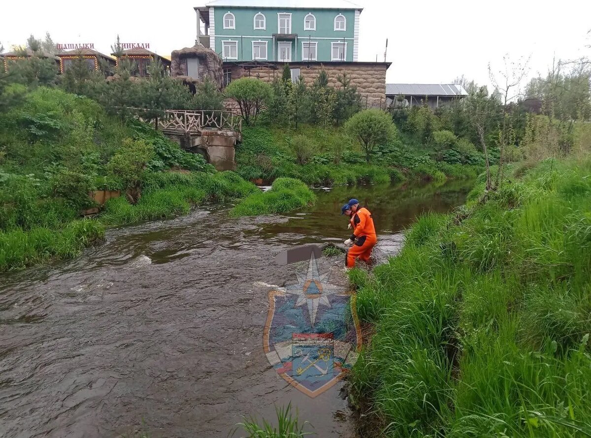    Фото: пресс-служба Аварийно-спасательной службы Ленинградской области