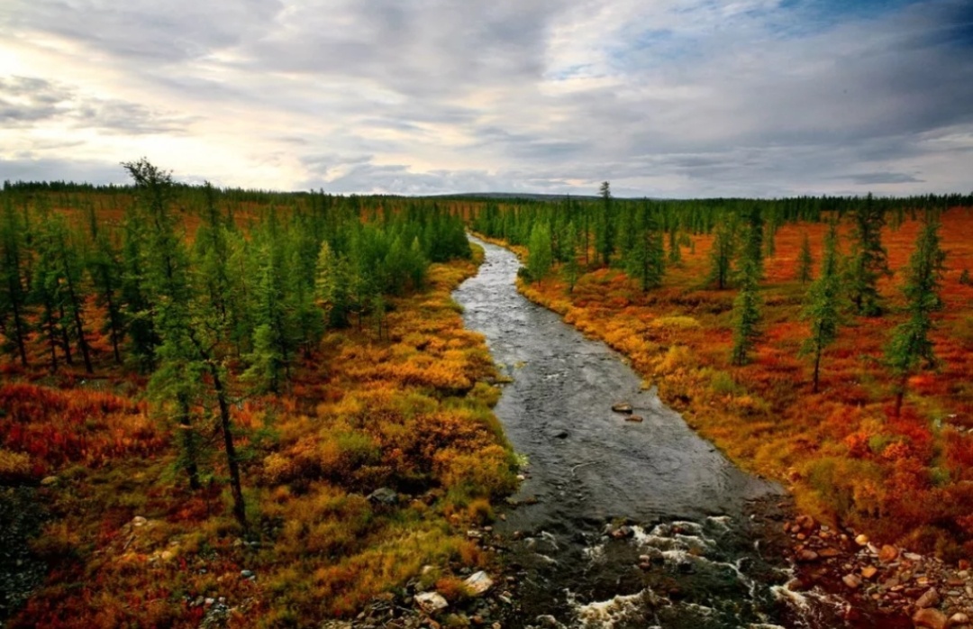 Фото из интернета