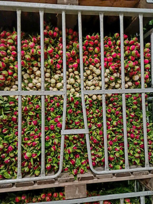 Фото из рабочего чата))) 